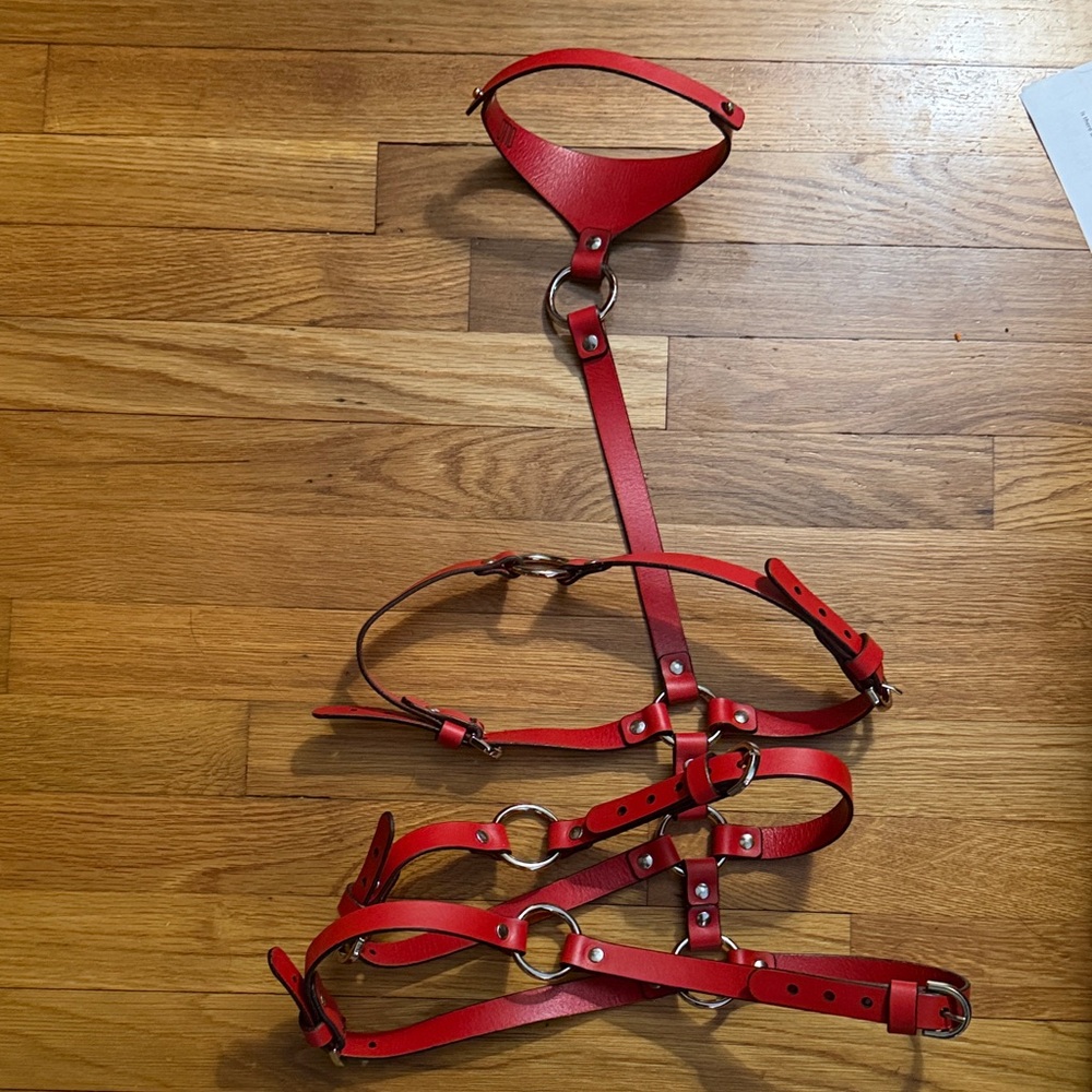0770 Roxane Red Leather Harness - Picture 8 of 15